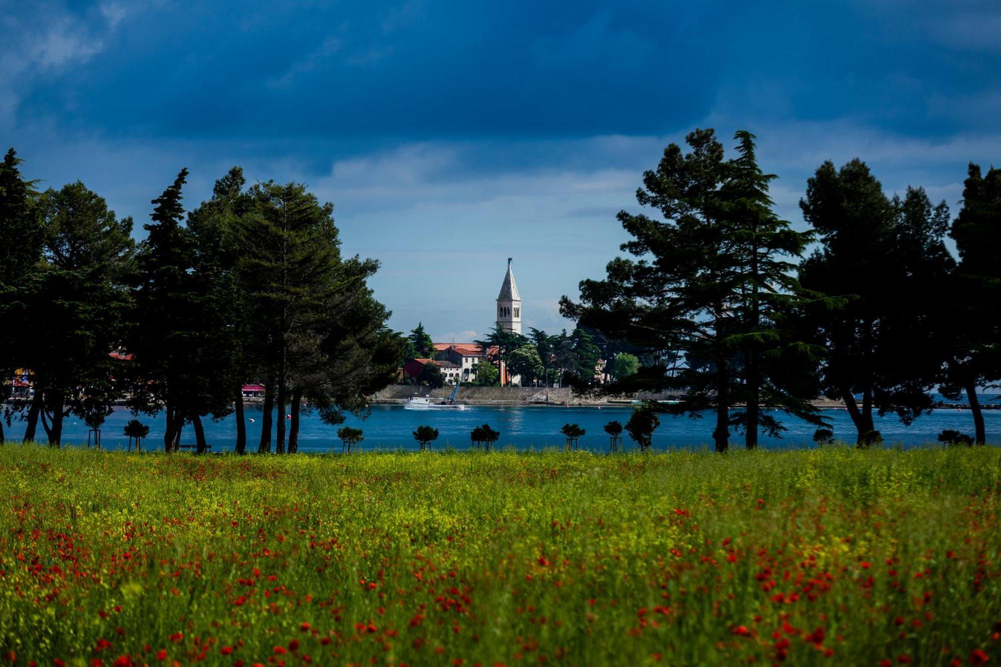 Belvedere Holidays Villas Novigrad Istria Eksteriør billede